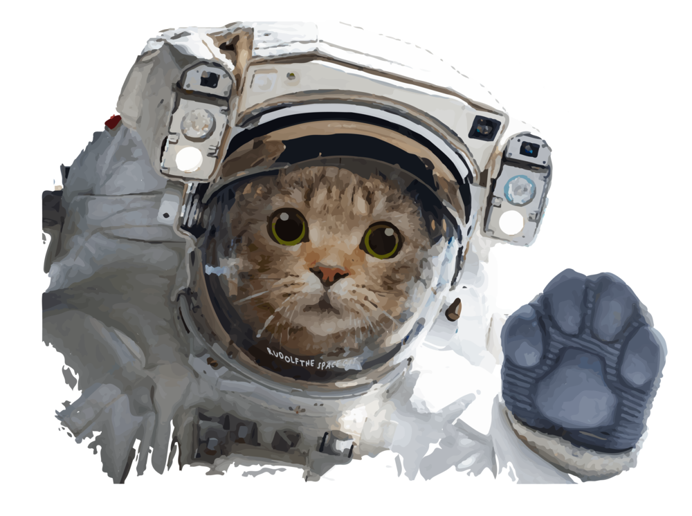 Katzen-Astronaut, das Maskottchen der Praxis